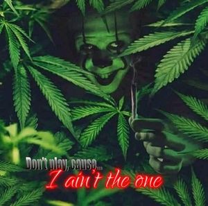 Meet your Posher, Julian